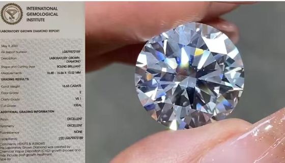 El laboratorio flojo de IGI creó los diamantes 16.63Carat VS1 alrededor del color de E